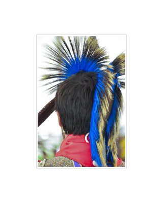 Art Poster_Sacred Spring Powwow_Head Dress_16x20 copy.jpg