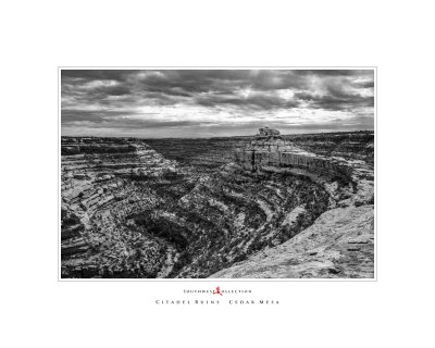 Art Poster_Cedar Mesa_Citadel_The Canyon_16x20 copy.jpg