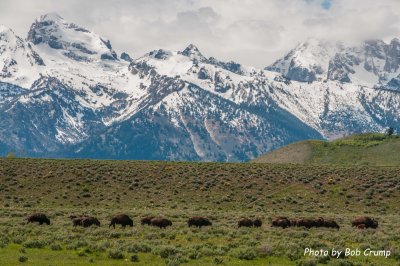 Teton NP_2013 May 31_0193.jpg