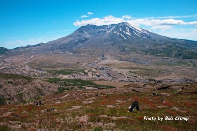 Mt St Helens from Johnston Ridge_01.jpg