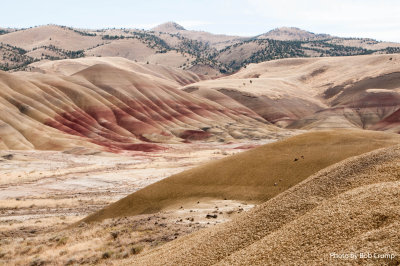 John Day Fossil Beds NM - Painted Hills 07.jpg