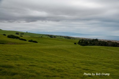Cattle Ranch_02.jpg