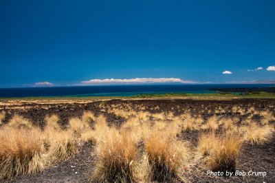 West side Lava Field_01.jpg