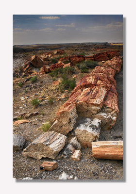 Painted Desert - Northern Arizona