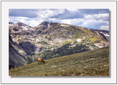 Rocky Mountain National Park