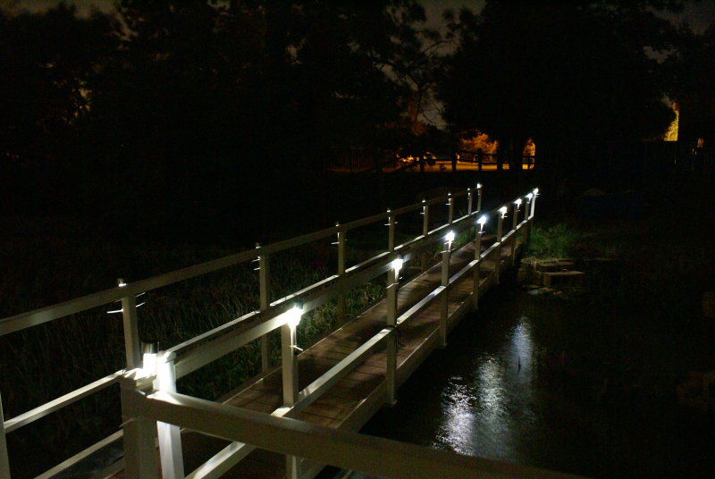 DSC08276.JPG