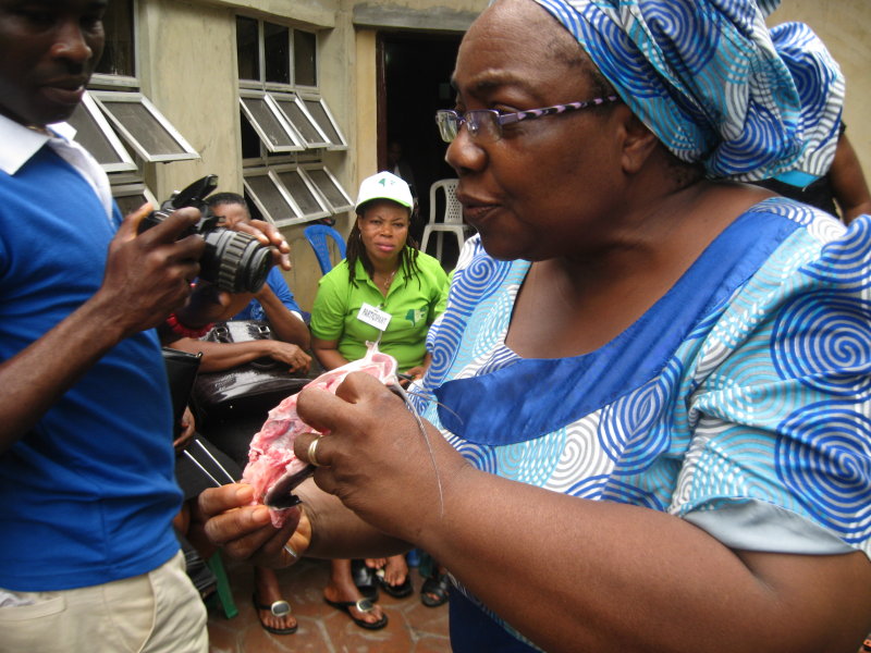 Dorah showing workshop participants where she is going to remove the pituitary.