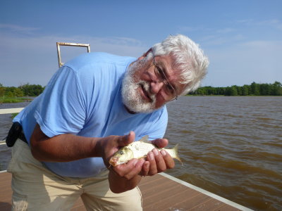 First Golden Bonefish on a boilie.