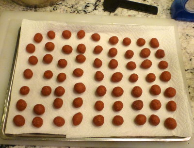 Boilies drying on paper towels.