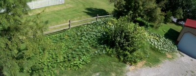 100_2463.JPG