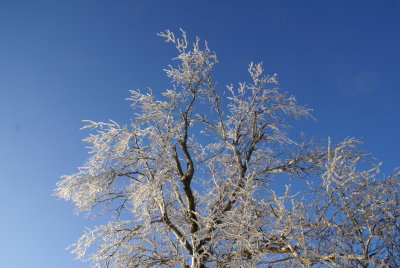 DSC09086.JPG