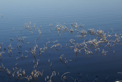DSC09090.JPG