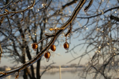DSC09106.JPG
