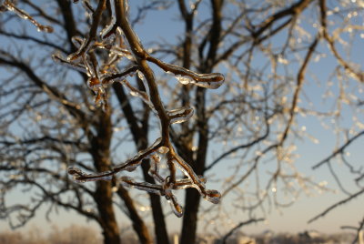 DSC09108.JPG
