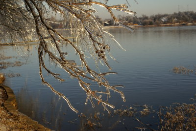 DSC09109.JPG