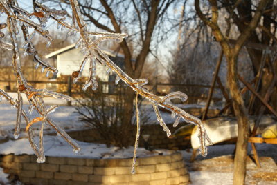 DSC09114.JPG