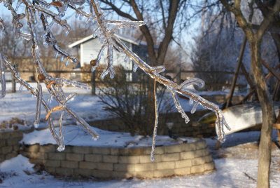 DSC09115.JPG