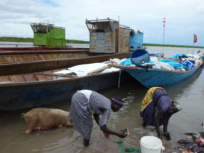 Women cleaning lungfish in the White Nile, Bor, South Sudan