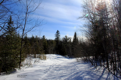  Winter  Landscape   /  Paysage  D'Hiver