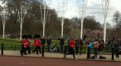 Buckingham Palace guards out for a walk