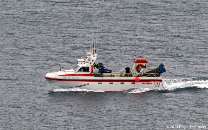 Elin C VN 88