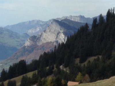 g9/45/794945/3/153883670.ivgtVAlJ.jpg