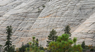 Zion National Park