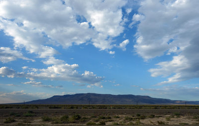 DSC00645.jpg