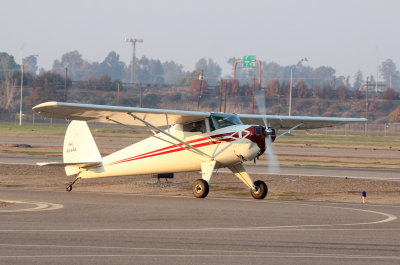 IMG_7274.jpg