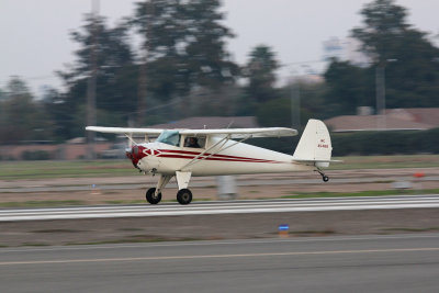 IMG_7342.jpg