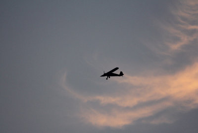 IMG_7354.jpg