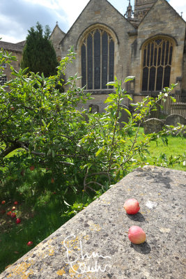 A Killed Jesus and a Fire Extinguisher: around Cirencester Abbey...