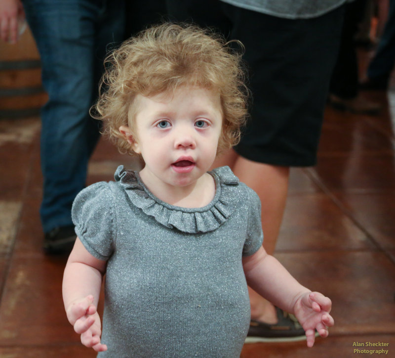 Michelle and Tim's Engagement Party, Odyssey Winery, Chico, CA Sept. 27, 2014