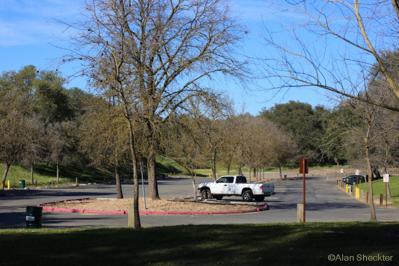 Our yard and River Bend Park, Rancho Cordova, CA, Feb, 26, 2015