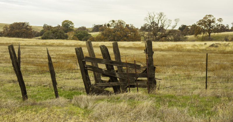 Prairie City State Vehicular Recreation Area, southeast Sacramento County, December 12, 2015
