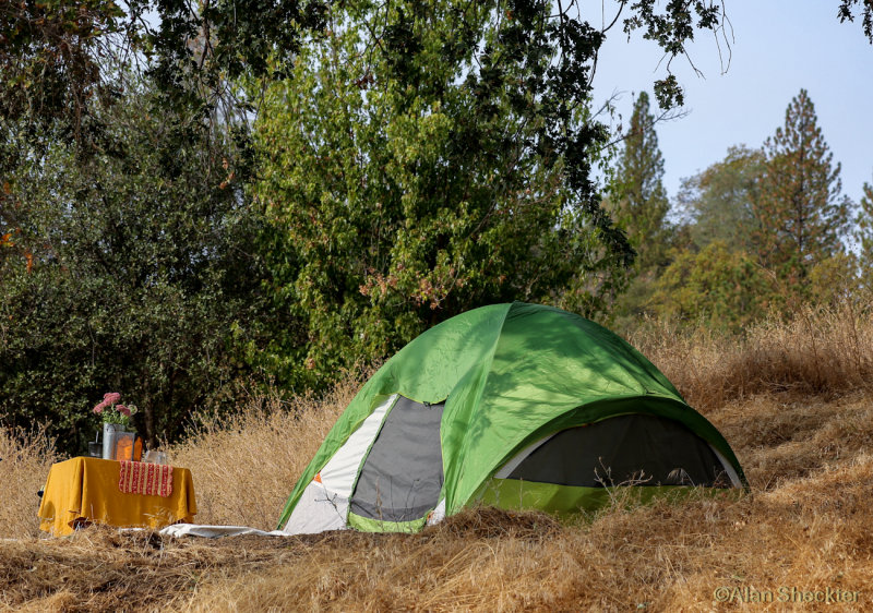 Strawberry Music Festival, September 3-6, 2015, Westside, Tuolumne, Calif.