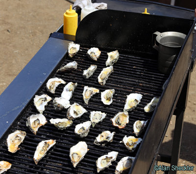 Barbecued oysters