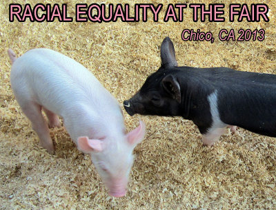 Racial equality at the fair