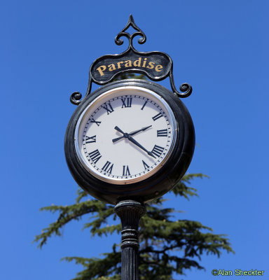 Paradise Community Park clock