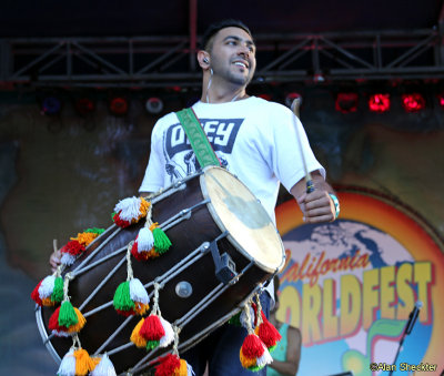 Delhi 2 Dublin's Ravi Binning