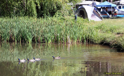 WorldFest campgrounds/Lott Lake