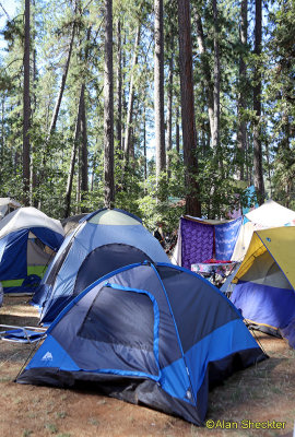 WorldFest campgrounds/Lott Lake