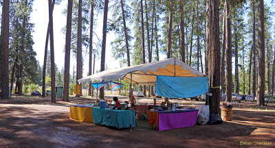 WorldFest entry kiosk