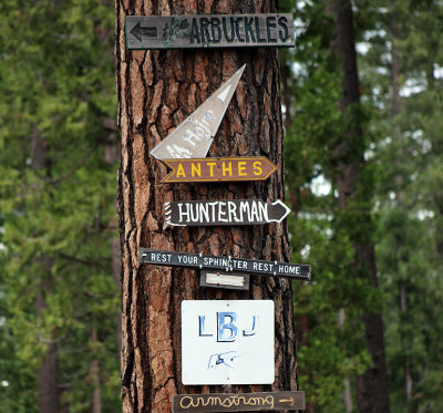 Households marked on the trees are common. The rest home sign is a joke, I looked it up!