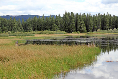 Lake McCumber