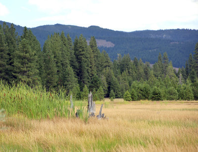 Next to Lake McCumber