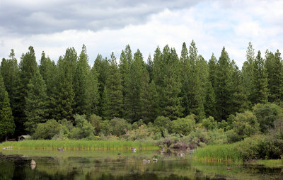 Lake McCumber