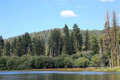 Manzanita Lake, Lassen Volcanic National Park
