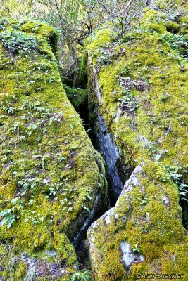 Narrow crevice along the trail