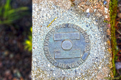 PG&E survey marker